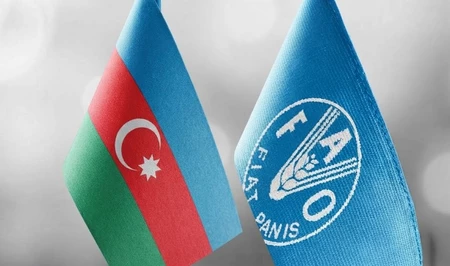 FAO и Азербайджан готовят новое соглашение о партнерстве