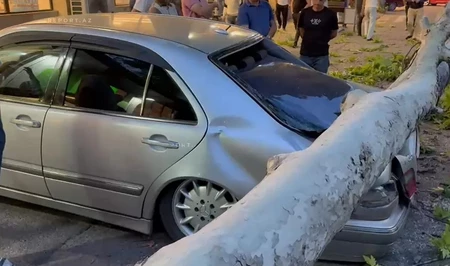 Сильный ветер повалил деревья и повредил автомобили в Гёйчае
