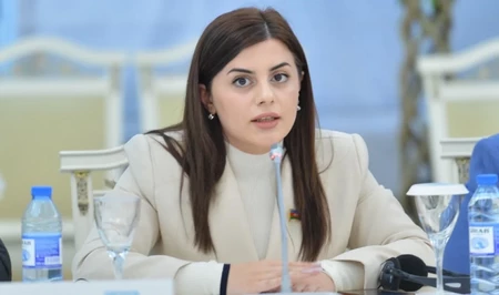 Единое управление и доступная медицина: депутат о будущем здравоохранения Азербайджана