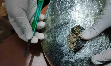 В Азербайджане из незаконного оборота изъято 46 кг наркотических средств