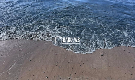 Вода на пляже Тюркан окрасилась в темный цвет: жители обеспокоены состоянием окружающей среды