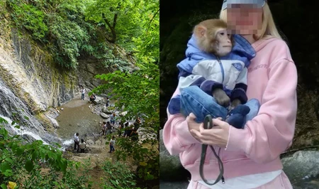 В Габале туристка получила травму головы, фотографируясь с обезьяной