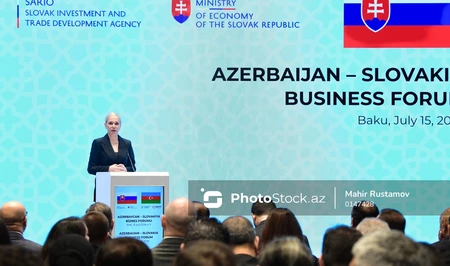 Словакия назвала Азербайджан ключевым партнером в сфере энергетики и логистики