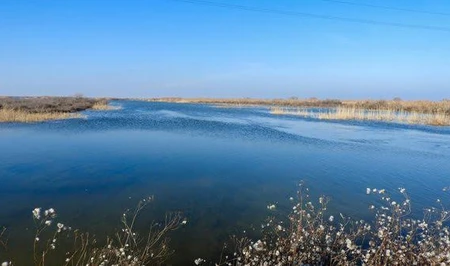 Воду из Ширванского оросительного канала направят в озеро Гаджигабул - ПРИЧИНА