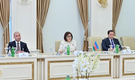 В парламенте Грузии высоко оценили позицию Азербайджана по территориальной целостности страны