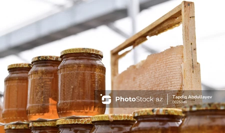 В Баку состоится ярмарка, посвященная продукции пчеловодства