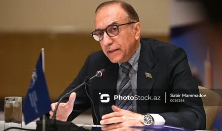 Низами Сафаров: Деколонизация остается одной из основных проблем человечества