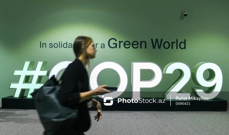 На COP29 прошла панельная сессия на тему «Климатическая справедливость и равенство»