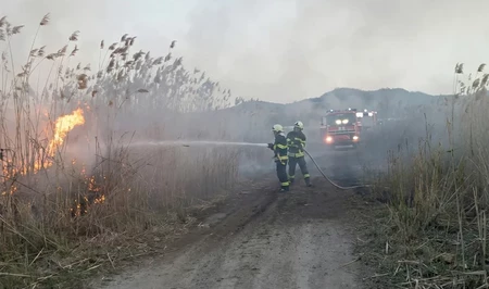 В Ширване произошел пожар на открытой территории