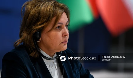 Умайра Тагиева: Азербайджан играет ключевую роль в реализации климатических инициатив D-8