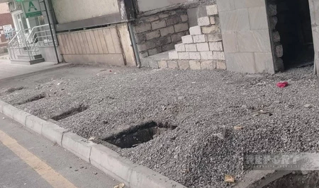 В Хачмазе расследуют незаконное уничтожение многолетних деревьев