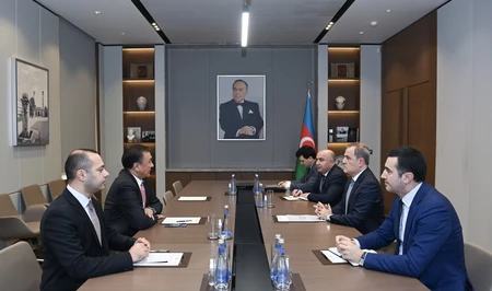 Глава МИД Азербайджана принял генерального секретаря ОТГ