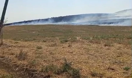 В четырех районах Азербайджана установлены виновники пожаров на сельхозугодьях