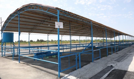 Рынок по продаже скота в Агдашском районе возобновил работу после реорганизации