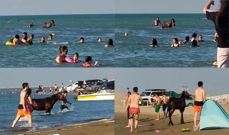 Искупавший лошадей в море в Пиршаги арестован