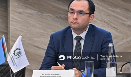Меджнун Мамедов: В Азербайджане строят сеть из 180 метеорологических станций