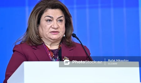 Хиджран Гусейнова на WUF13: Расширение систем раннего предупреждения — приоритет для Азербайджана
