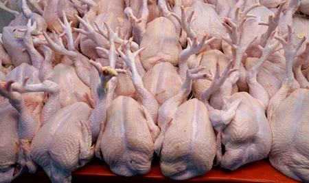 Дискуссия о курином мясе: профессор против производителей
