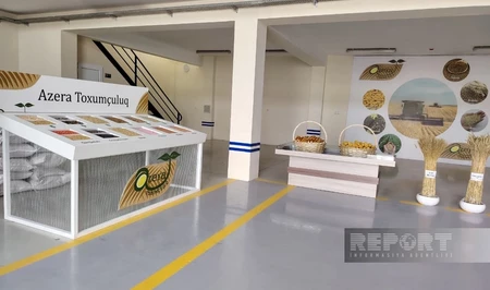 Сабирабадское предприятие Azera Toxumçuluq создаст 20 новых рабочих мест