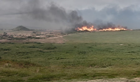 В Лянкяране произошел пожар на открытой территории