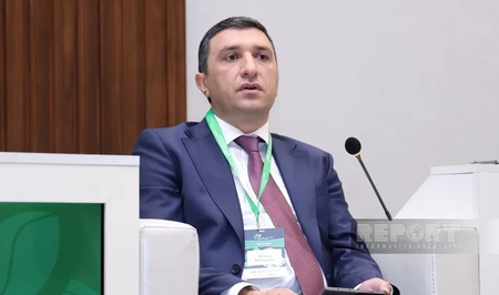 Эльхан Микаилов заявил о проблеме финансовой грамотности фермеров в Азербайджане