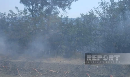 Пожар в Ходжалы потушен силами МЧС Азербайджана