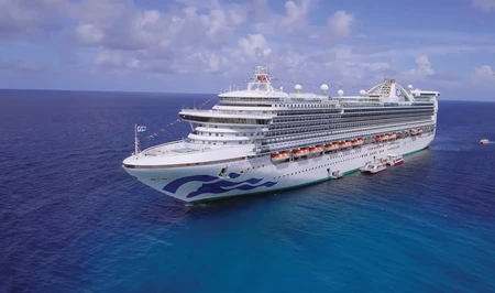 На корабле Caribbean Princess норовирусом заболели более 100 человек