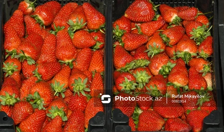 Осторожно, нитраты: в Баку предупредили об опасности «красивых» продуктов на рынках