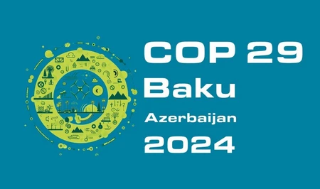 Глава D.A.Carlin and Company: Жду от COP29 прогресса по новым целям климатического финансирования