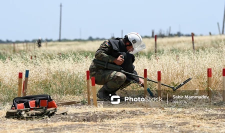 Глава ARMAC призвала к укреплению регионального сотрудничества в противоминной деятельности