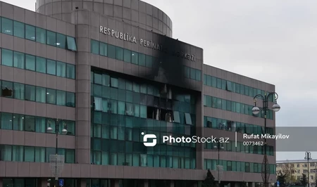 Дело о пожаре в Перинатальном центре в Баку: на суде показали видео с камер наблюдения