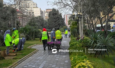 В Баку начнут масштабные работы по благоустройству тротуаров, дворов, парков и садов