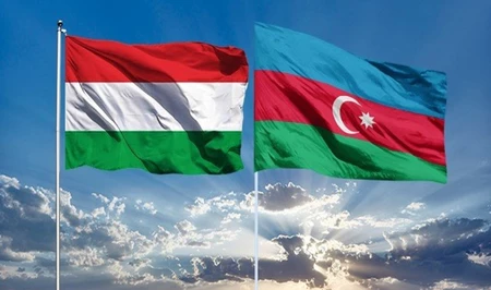 Венгрия готова делиться с Азербайджаном опытом внедрения нацсистемы по управлению e-commerce