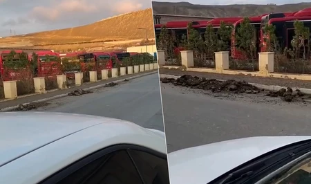 Транспортный парадокс в Баку: новые автобусы простаивают, старые – продолжают ездить