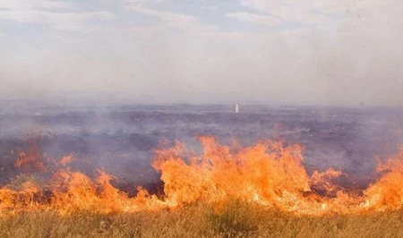 В Масаллы вспыхнул крупный пожар