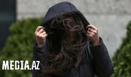 В Баку из-за сильного ветра пострадали четыре человека