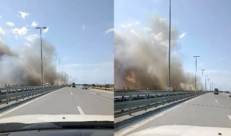 В Баку садовник поджёг сухую траву и уничтожил 863 дерева