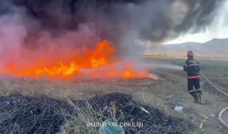 В Шамкирском районе произошёл пожар в теплице