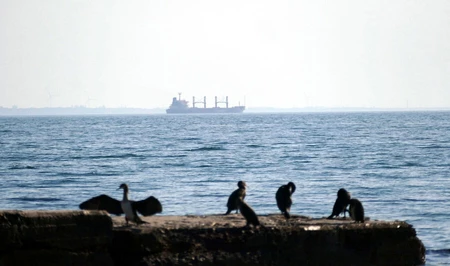 Россия нанесла удар по грузовому судну в Черном море: погиб капитан