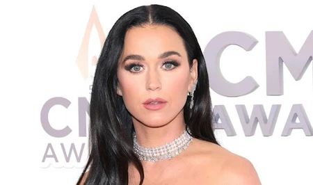 Певица Кэти Перри судится с ветераном из-за особняка и требует почти $5 млн компенсации