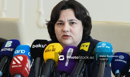 Замминистра: В Азербайджане новые законы ориентированы на международные стандарты