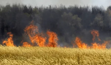 Пожар в Джалилабаде: на двух участках сгорели сухая трава и хлев