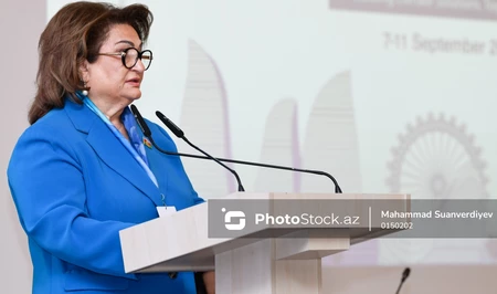 Хиджран Гусейнова призвала объединить научный потенциал тюркских стран для защиты экологии