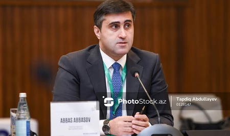 Аббас Аббасов: Мировое сообщество должно признать колониальные преступления Бельгии