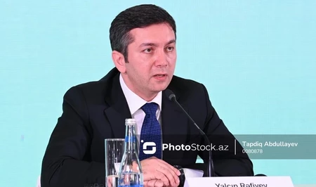 Ялчын Рафиев: После COP29 Азербайджан продолжил работу над климатическими инициативами