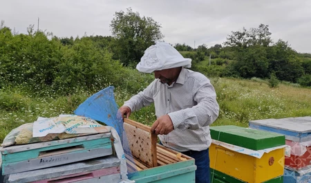 Аромат Карабаха: в Агдере начался сезон сбора меда
