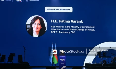 Фатма Варанк: Результаты COP29 заложили основу для COP31