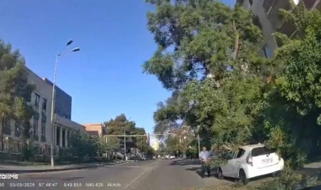 Крупные ветви дерева рухнули на автомобиль в Баку