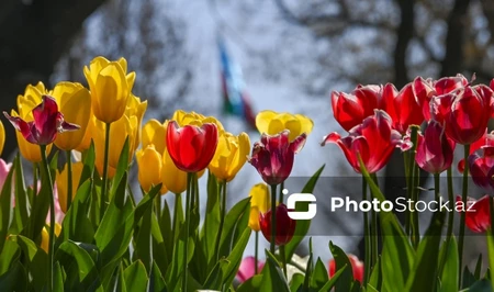 Метеорологи рассказали о погодных условиях в Азербайджане на 16 августа