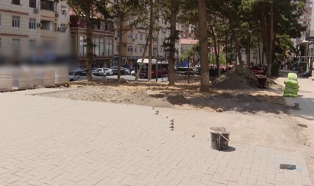 В соцсетях заявили об уничтожении зеленой зоны в Баку — ИВ отрицает вырубку деревьев